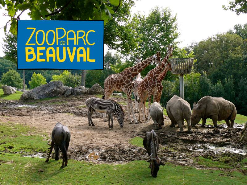 Le parc zoologique de Beauval