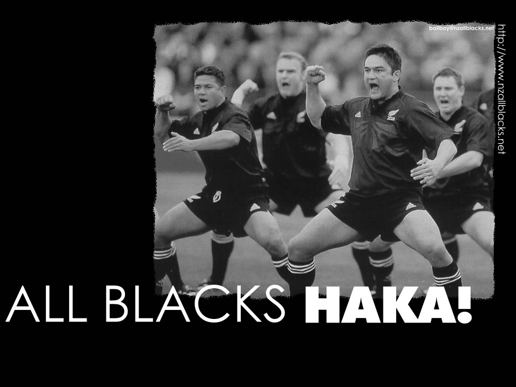 296 haka all blacks wallfizz