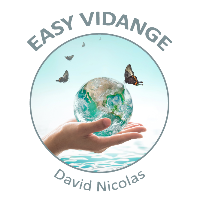 Logo easy vidange1
