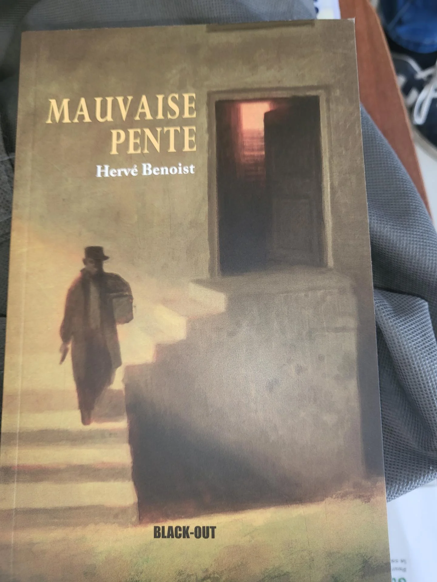 Mauvaise pente par herve benoist